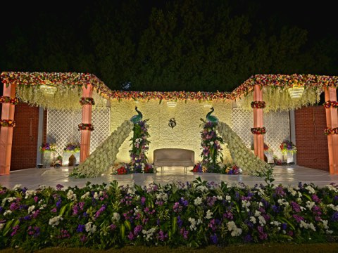 Peacock-themed open-air wedding stage on the lawn at night, Jaithri Grand Convention